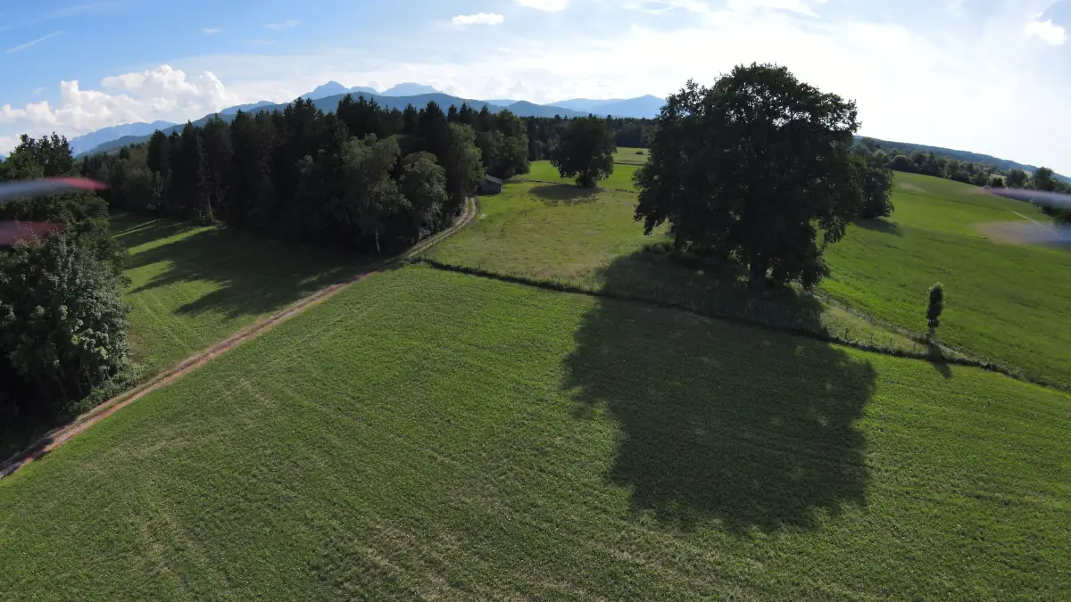 Herbst